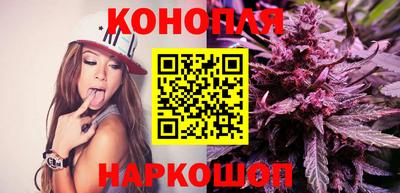 крисы Донской
