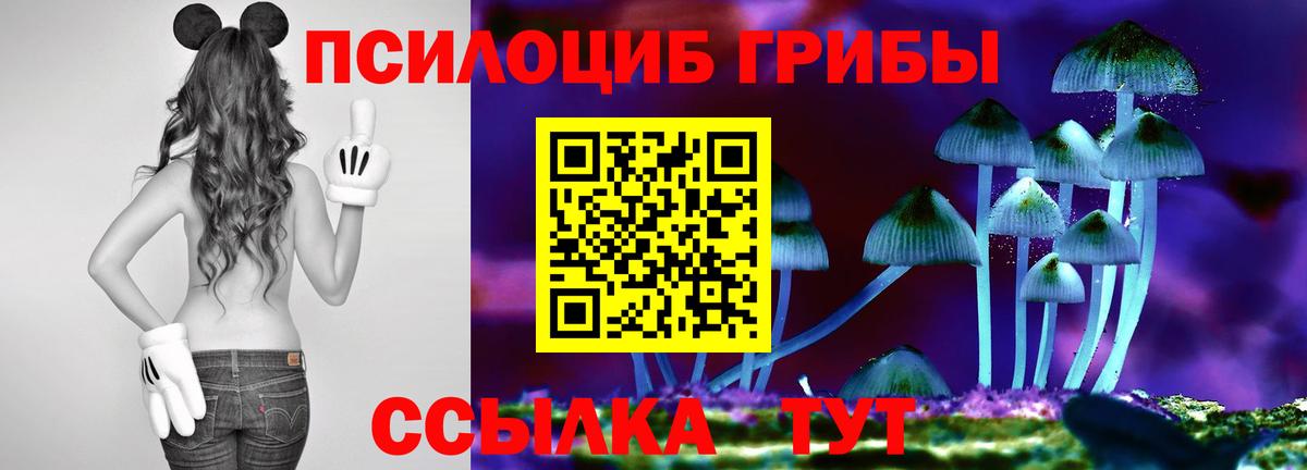 Галлюциногенные грибы прущие грибы  Псилоцибиновые грибы прущие грибы  где купить наркотик  Вход с VPN  Можга 